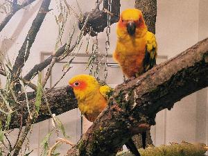 Zoo Leipzig: Endspurt auf dem Weg zu den neuen Vogelwelten