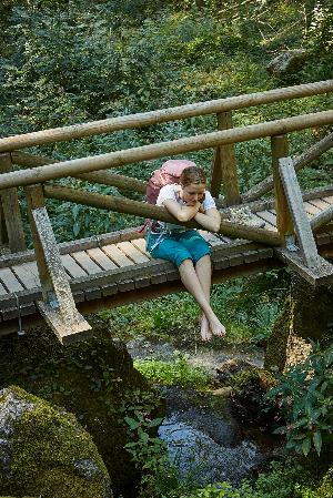 Grüne Mystik: Spirituelle Touren im Nationalpark Schwarzwald