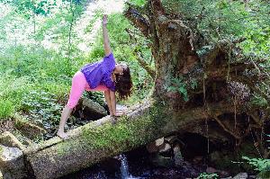 Eins mit sich und der Natur: Wu-Wei-Wasserweg in Bad Peterstal-Griesbach